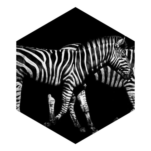 Sześciokątna tapeta samoprzylepna - Zebra przed Czarnym
