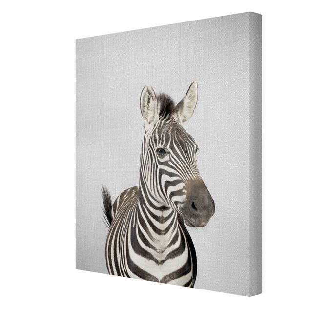 Obrazy na płótnie zebra Zebra Zilla