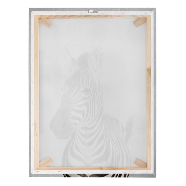 Czarno białe obrazki Zebra Zilla