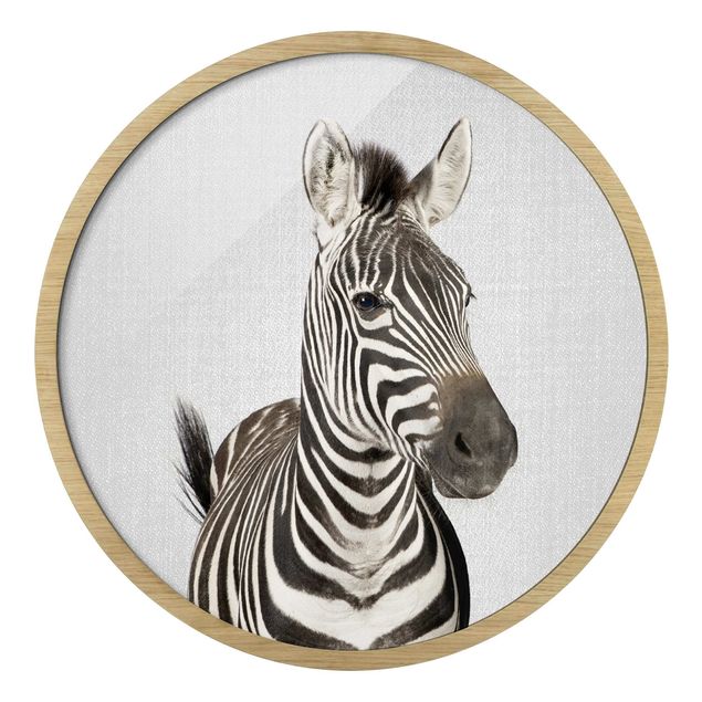 Obrazy zebra Zebra Zilla