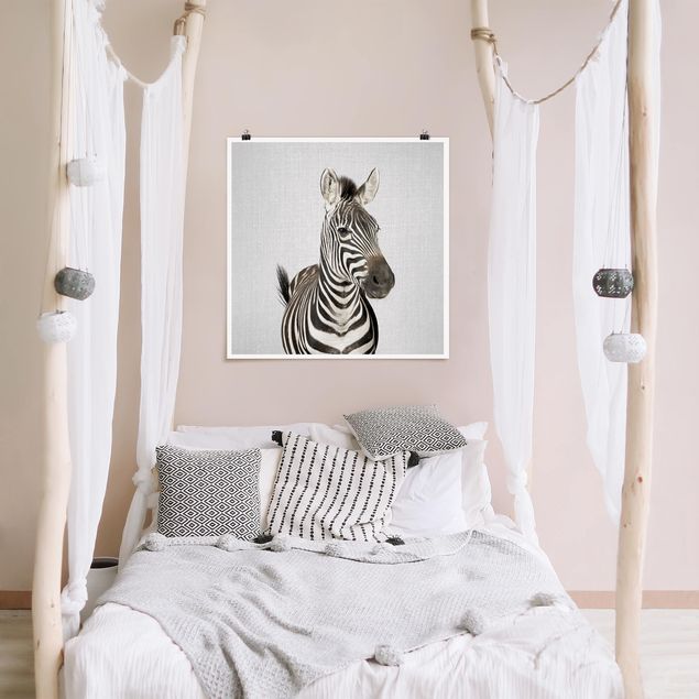 Obrazy nowoczesny Zebra Zilla