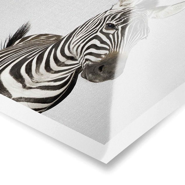 Obrazki czarno białe Zebra Zilla