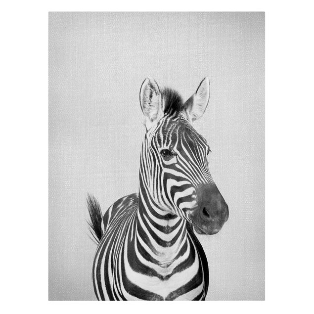 Obrazy zebra Zebra Zilla Black And White