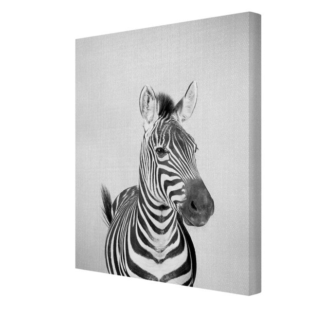 Obrazy na płótnie zebra Zebra Zilla Black And White