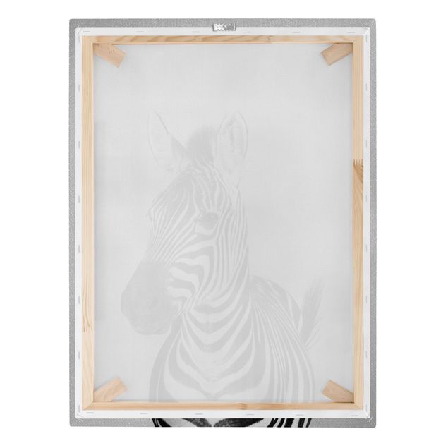 Obrazki czarno białe Zebra Zilla Black And White