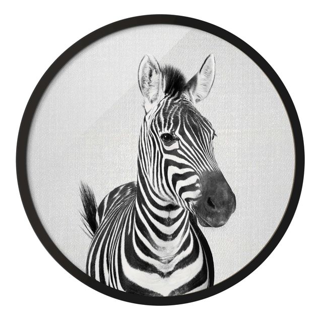 Obrazy zebra Zebra Zilla czarno-biały
