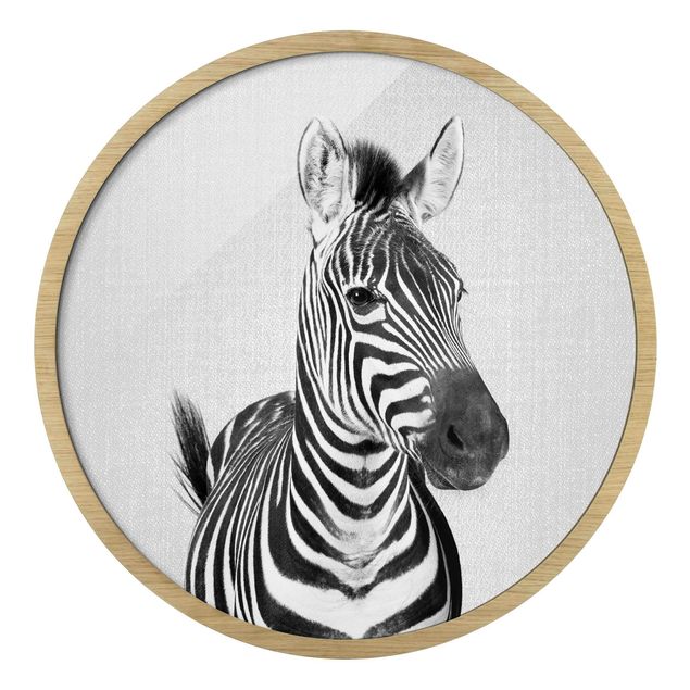 Obrazy zebra Zebra Zilla czarno-biały