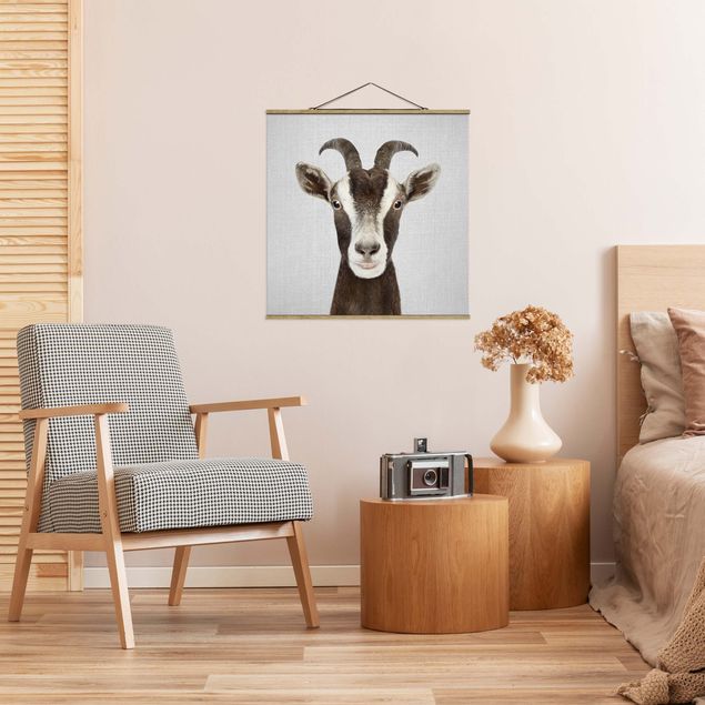 Obrazy do salonu nowoczesne Goat Zora