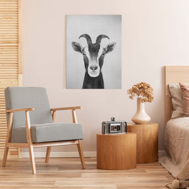 Obrazy nowoczesne Goat Zora Black And White