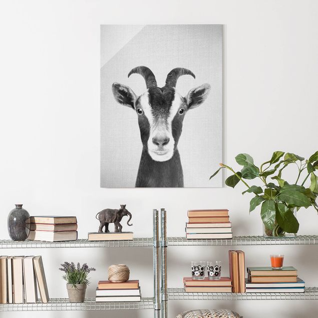 Obrazy na szkle portret Goat Zora Black And White