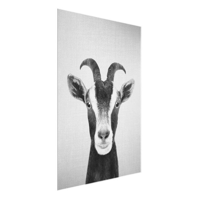 Nowoczesne obrazy do salonu Goat Zora Black And White