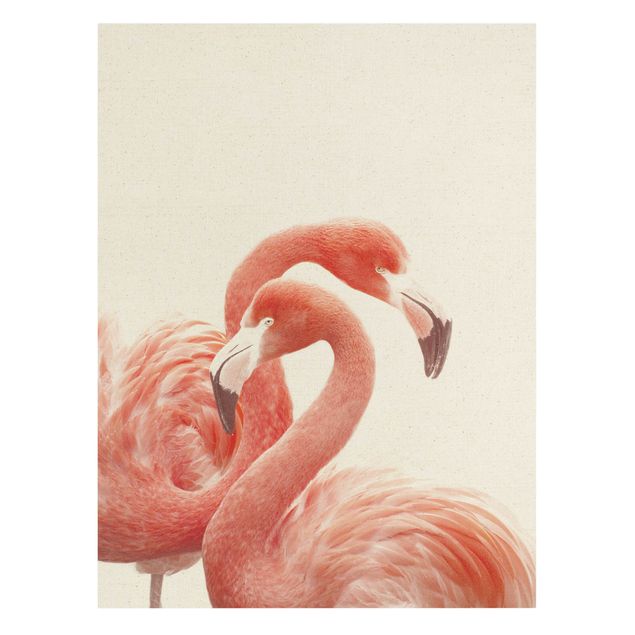 Pióro obraz Dwa flamingi