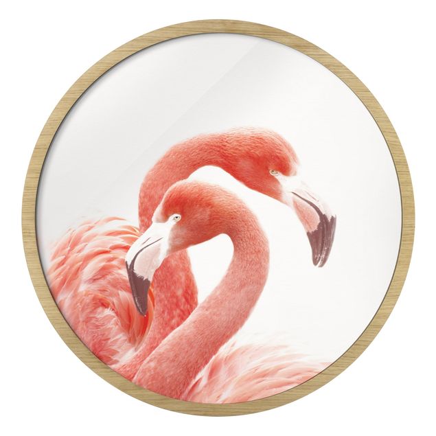 Obrazy zwierzęta Two Flamingos