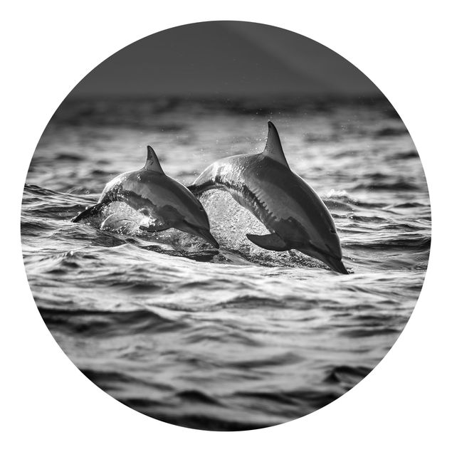 Tapety Dwa skaczące delfiny
