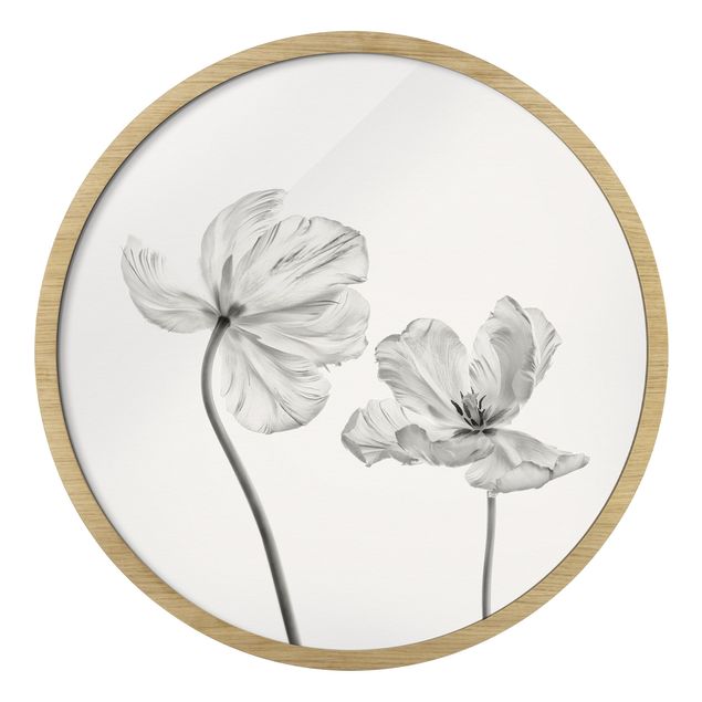 Obrazy z motywem kwiatowym Two Delicate White Tulips