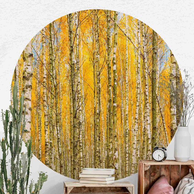 Dekoracja do kuchni Between Yellow Birch Trees