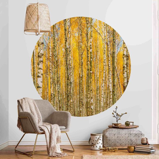 Tapety na ściany Between Yellow Birch Trees